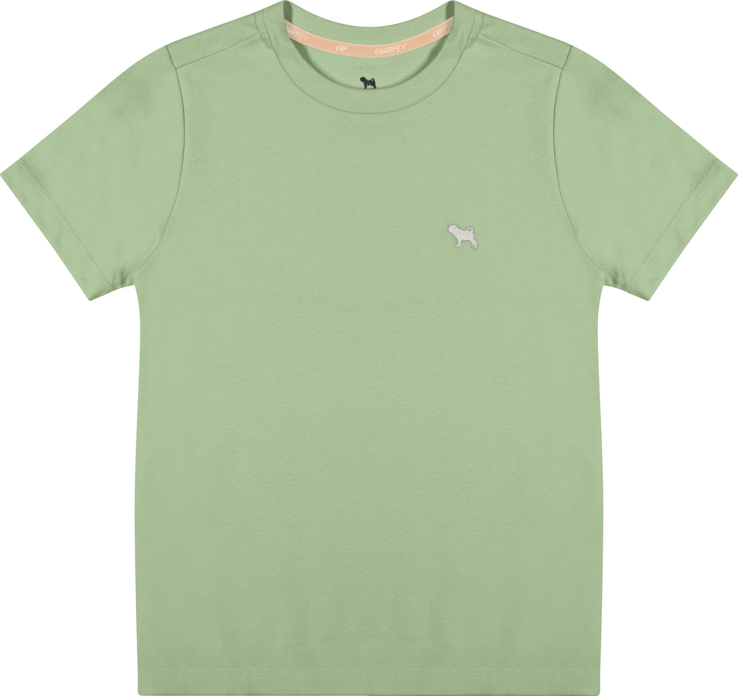 Camiseta Infantil Suedine Verde - Charpey