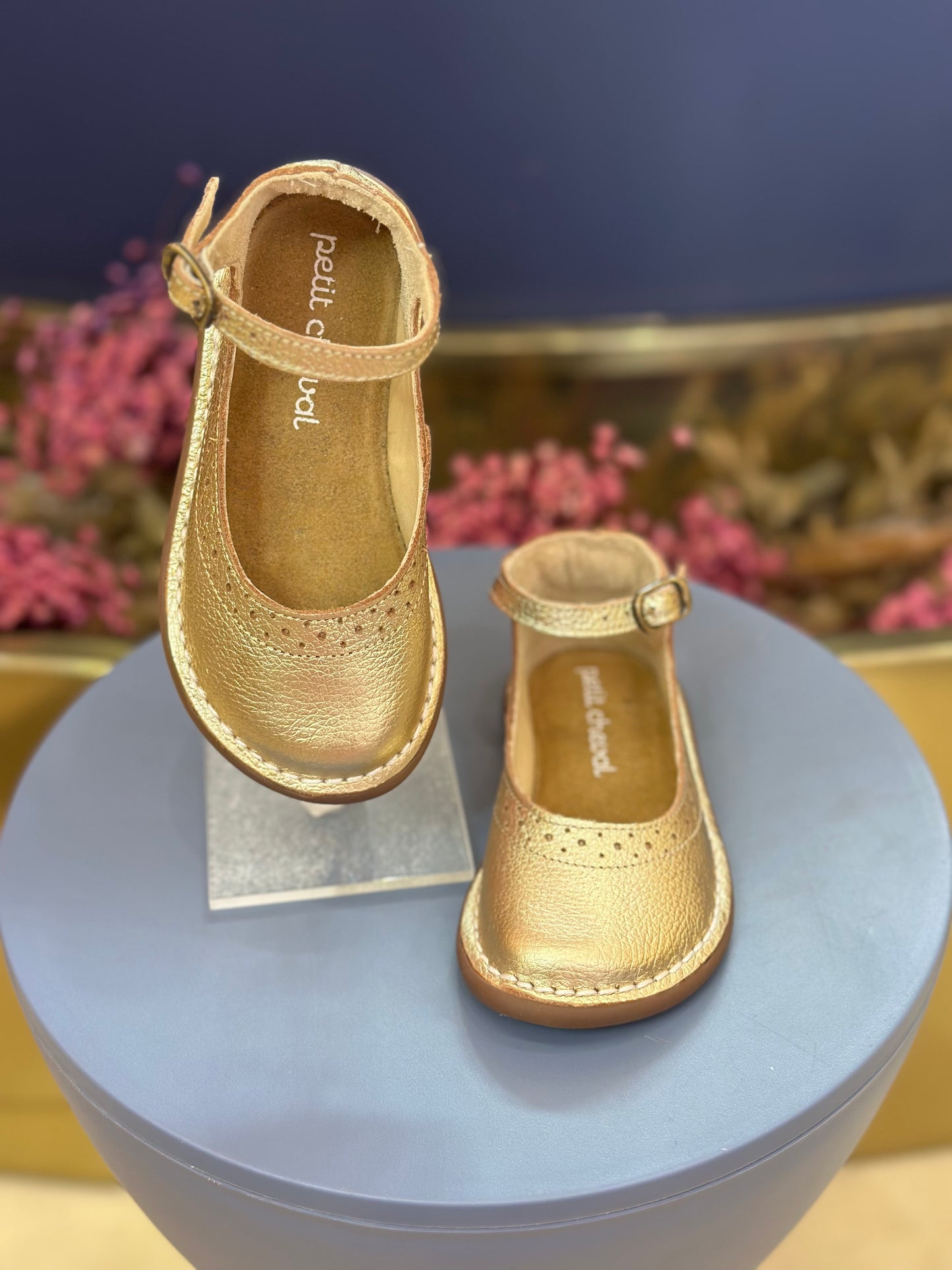 Sapato Infantil Patinete Doré - Petit Cheval
