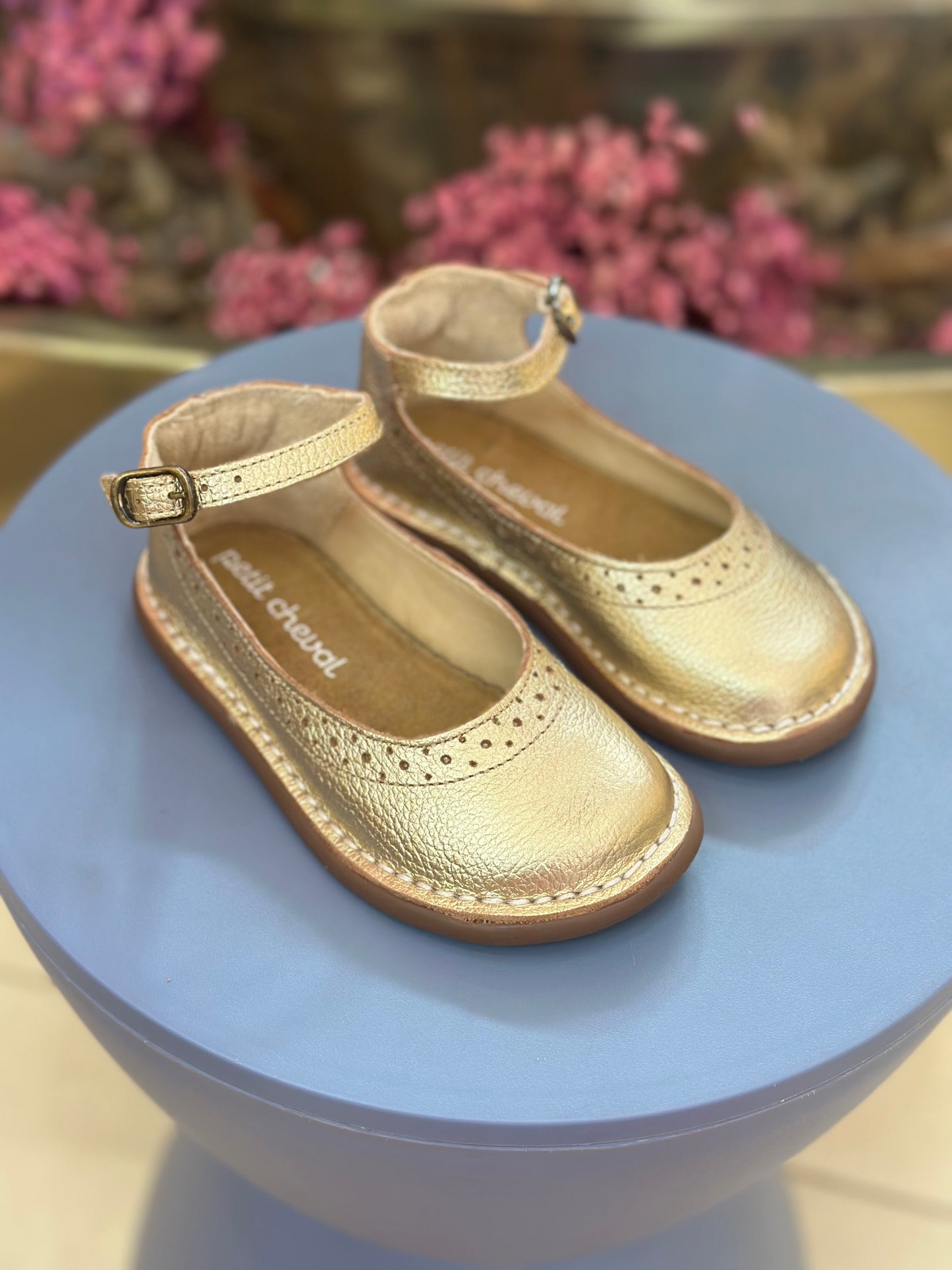 Sapato Infantil Patinete Doré - Petit Cheval