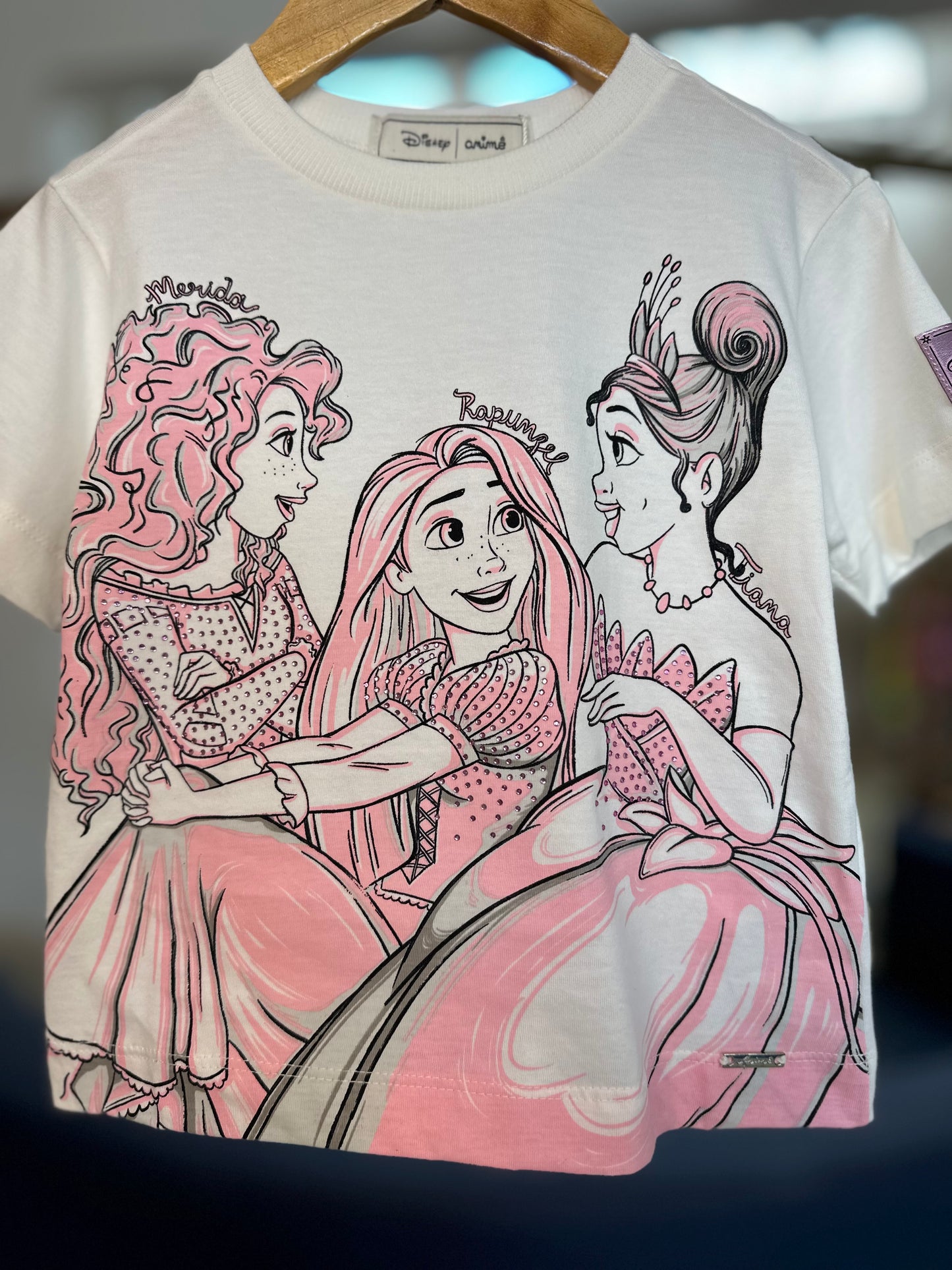 Conjunto Infantil Princesas Patch Disney e Saia Ballet Tule - Animê
