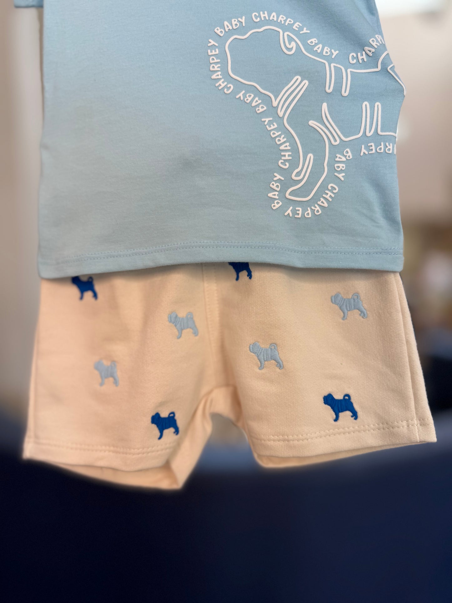 Conjunto Infantil Camiseta Algodão Azul e Bermuda Moletom Off - Charpey