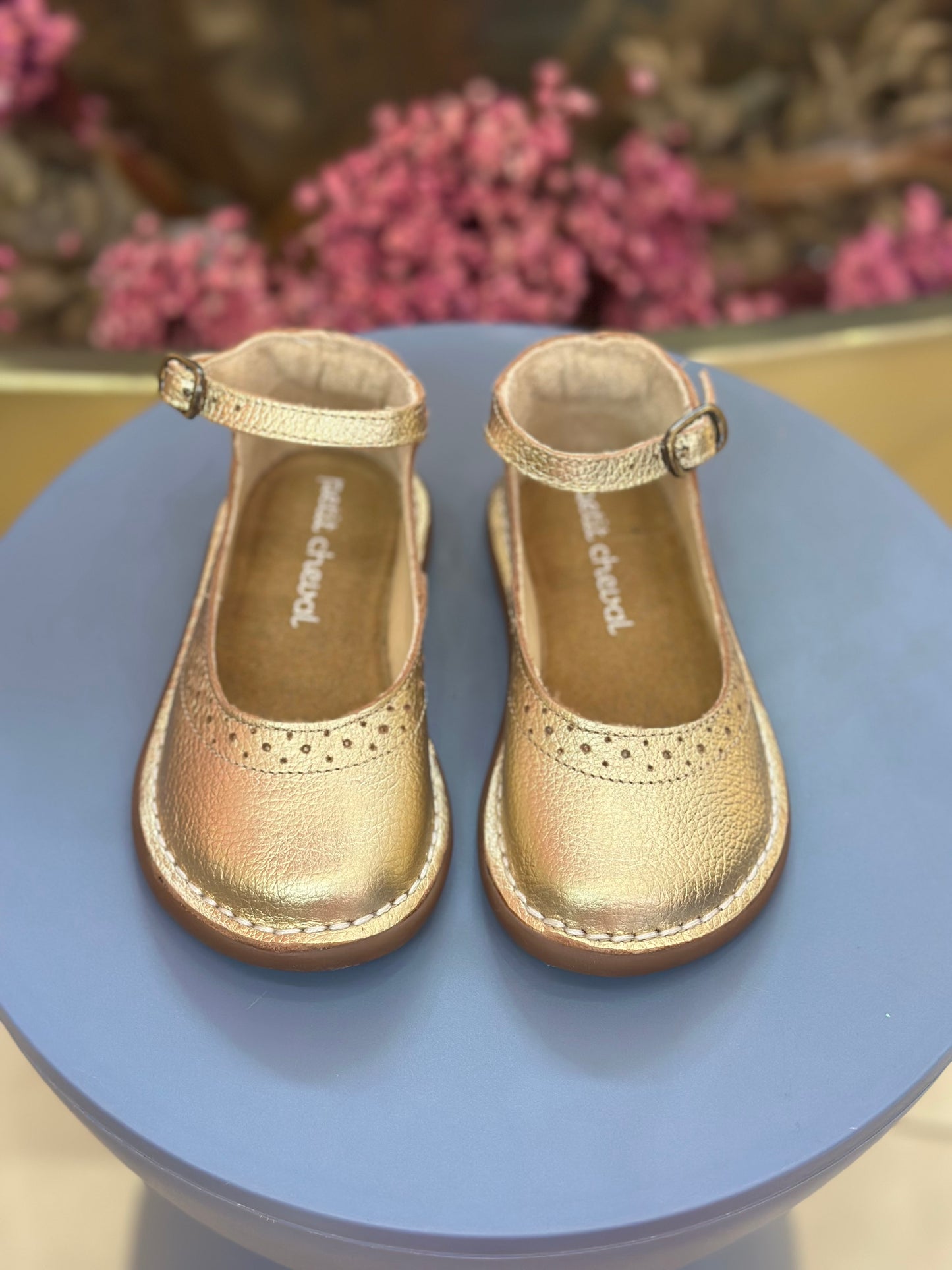 Sapato Infantil Patinete Doré - Petit Cheval