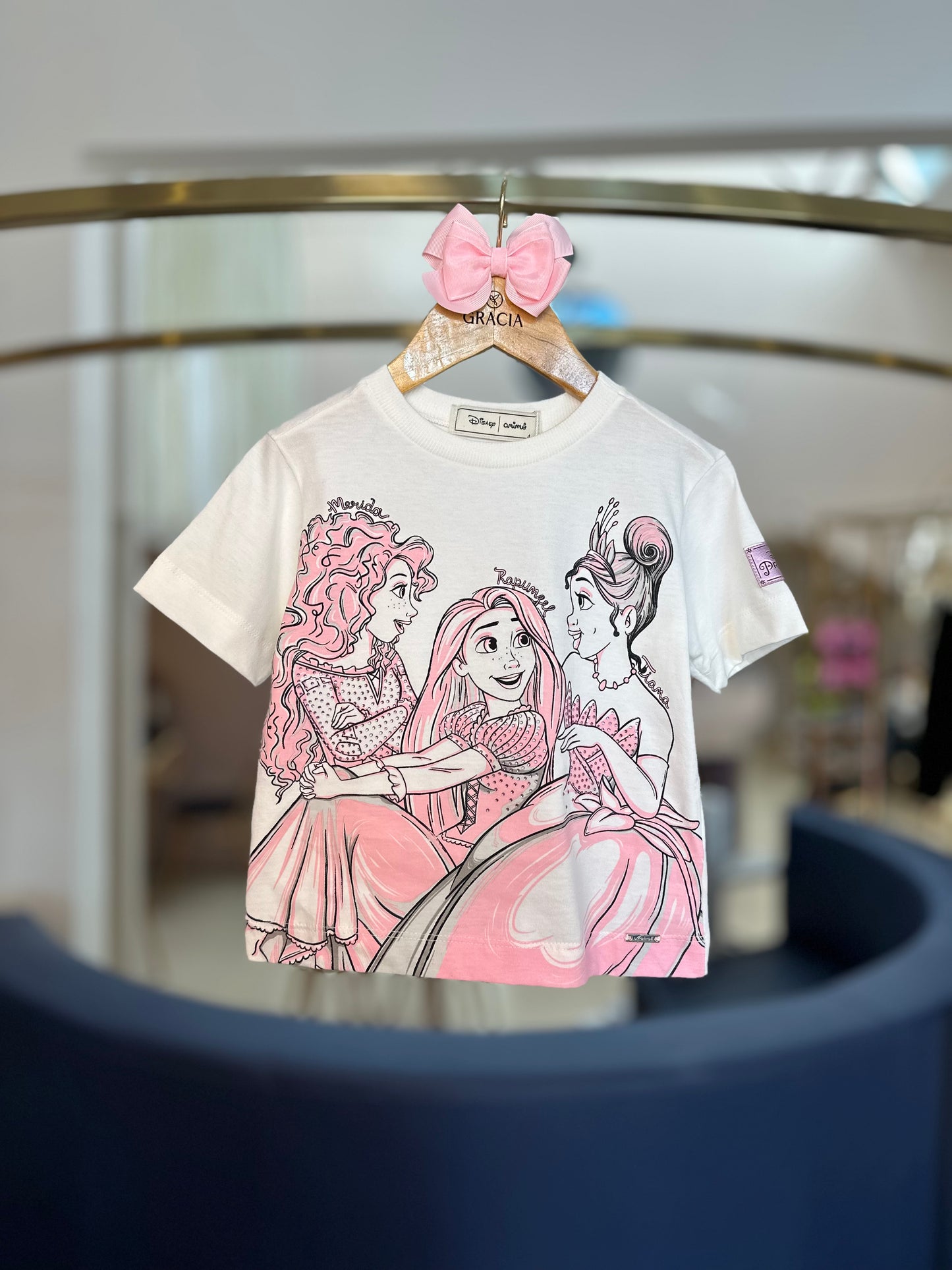 Conjunto Infantil Princesas Patch Disney e Saia Ballet Tule - Animê