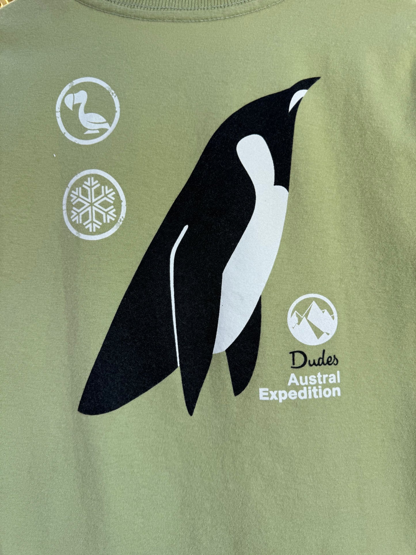 Camiseta Infantil Algodão Pinguim Verde - Dudes
