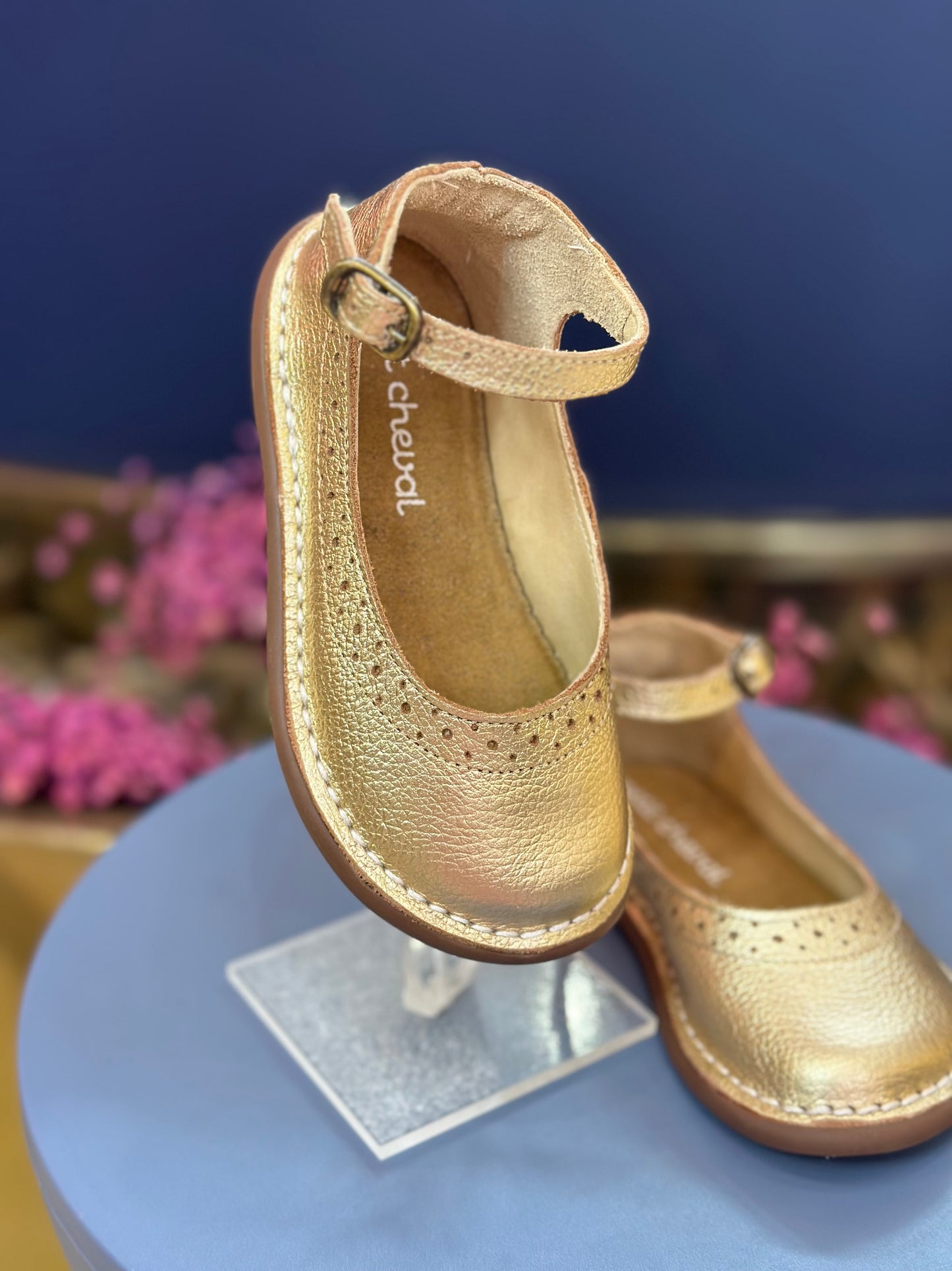 Sapato Infantil Patinete Doré - Petit Cheval