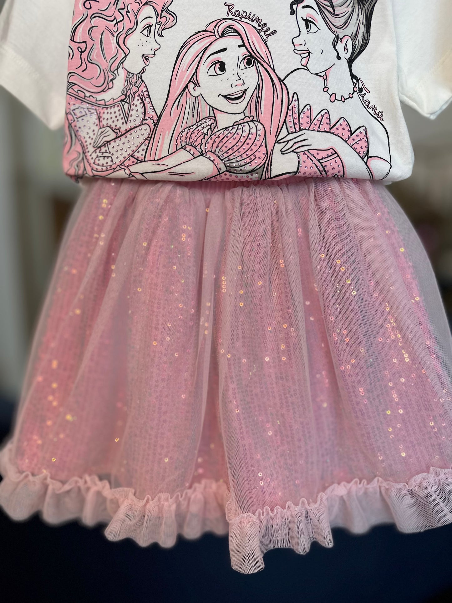 Conjunto Infantil Princesas Patch Disney e Saia Ballet Tule - Animê
