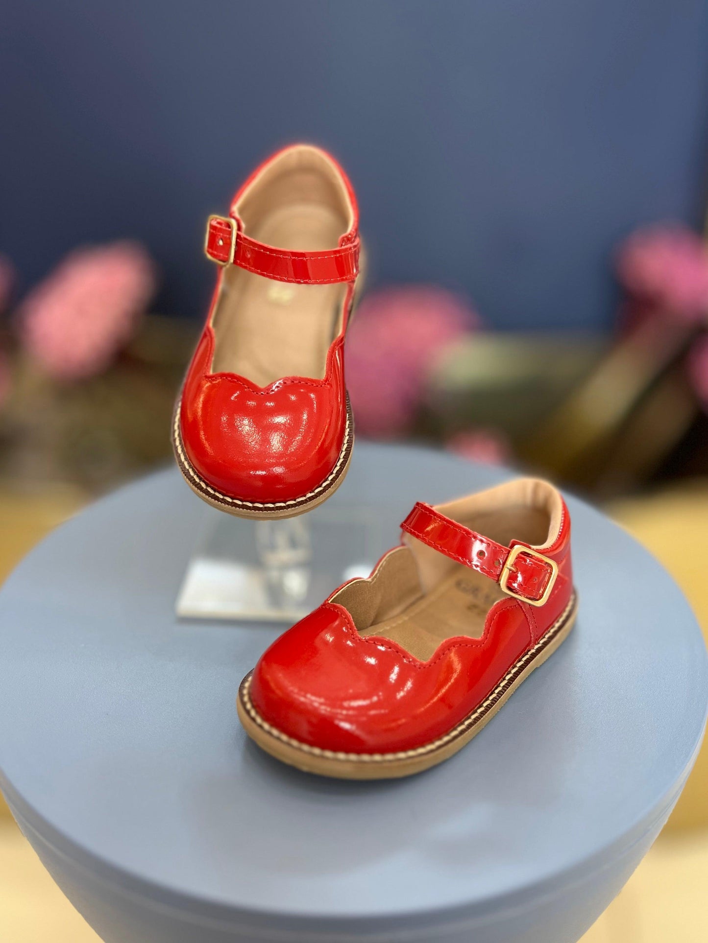 Sapato Beatriz - Gracia - Gracia