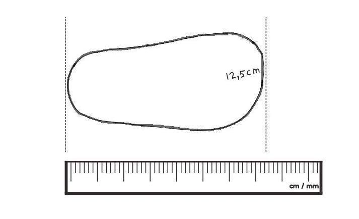 Sapatilha Infantil Couro Misty White Dream & Champagne - Tip Toey Joey PRÉ-VENDA