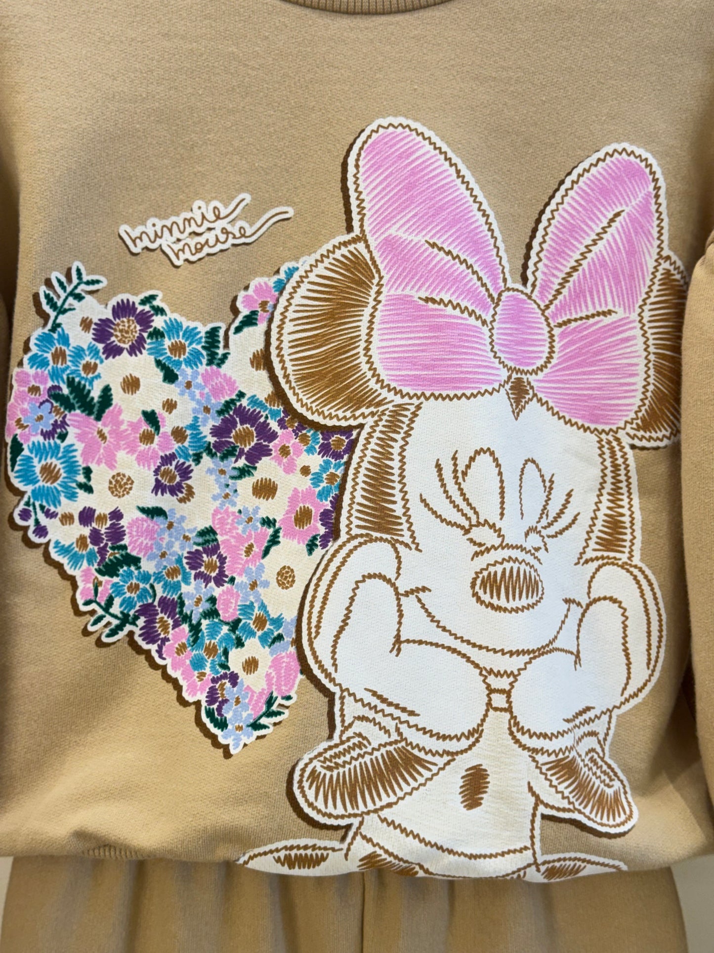 Conjunto Infantil Casaco e Calça de Moletom Minnie Flores - Animê