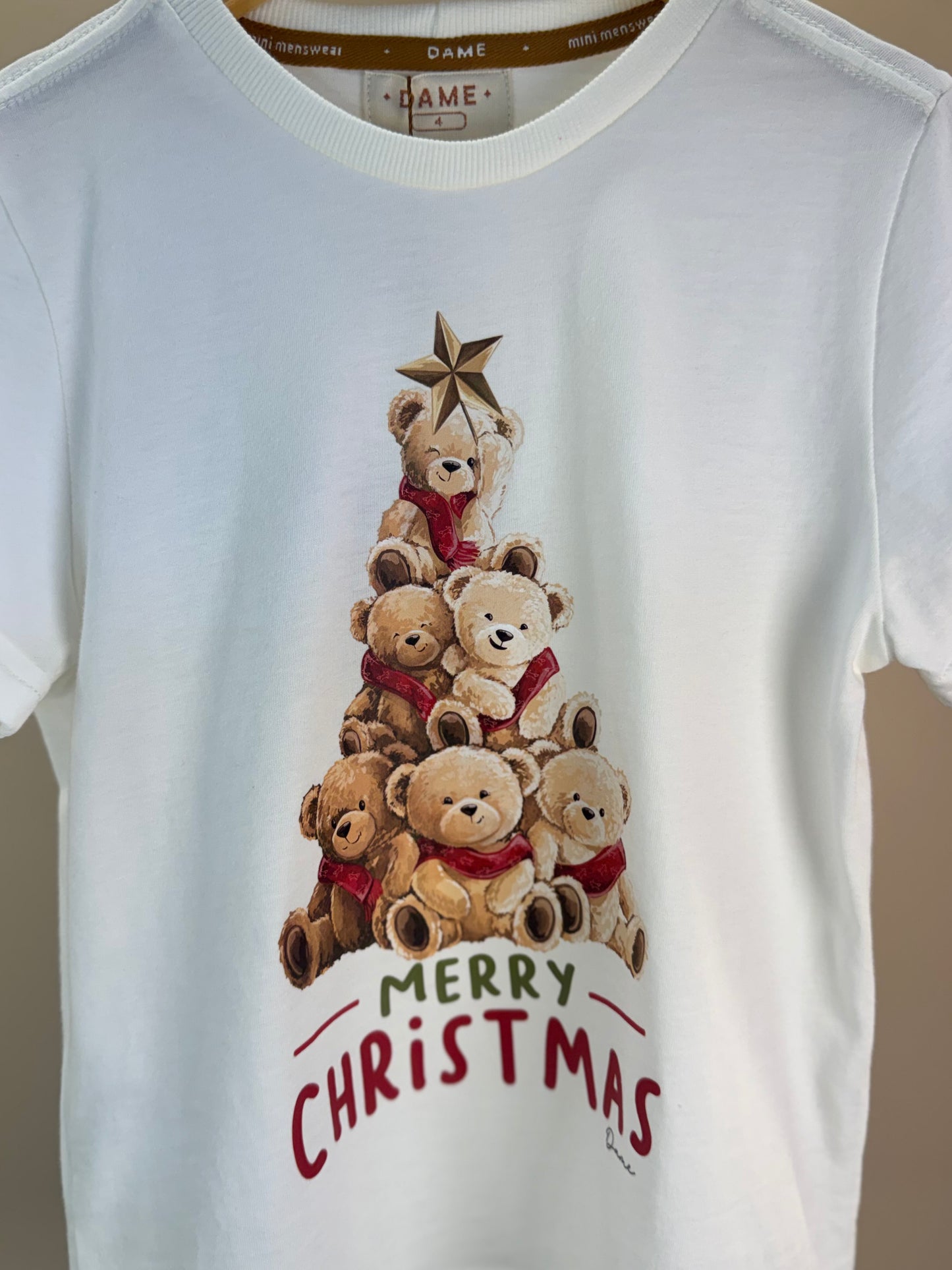Camiseta Infantil Algodão Teddy Natal MC - Dame