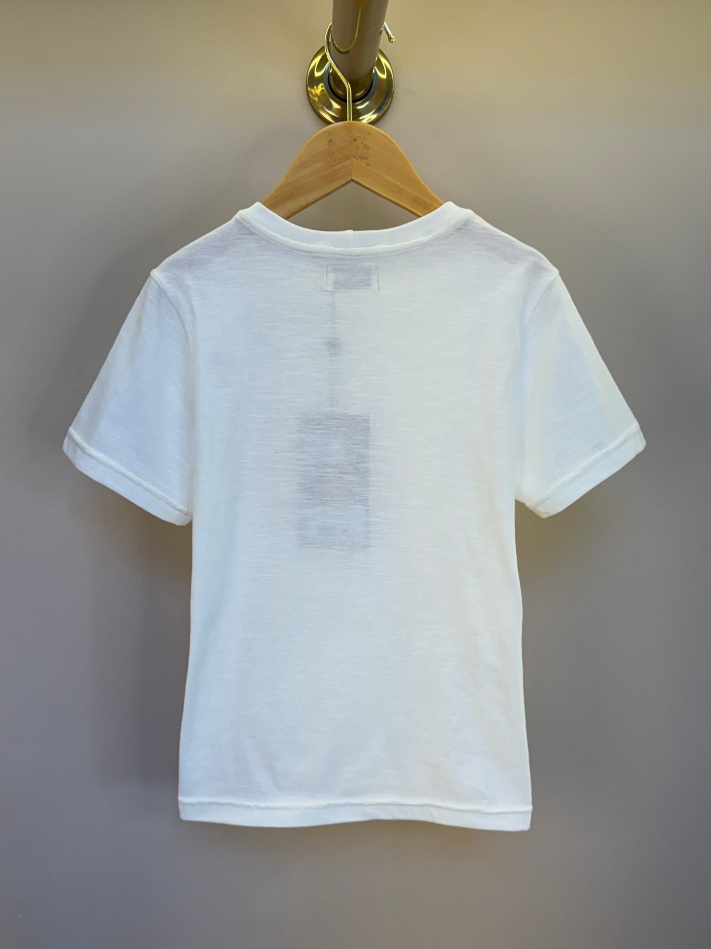 Camiseta Infantil Teddy Cachorros Off - Dame