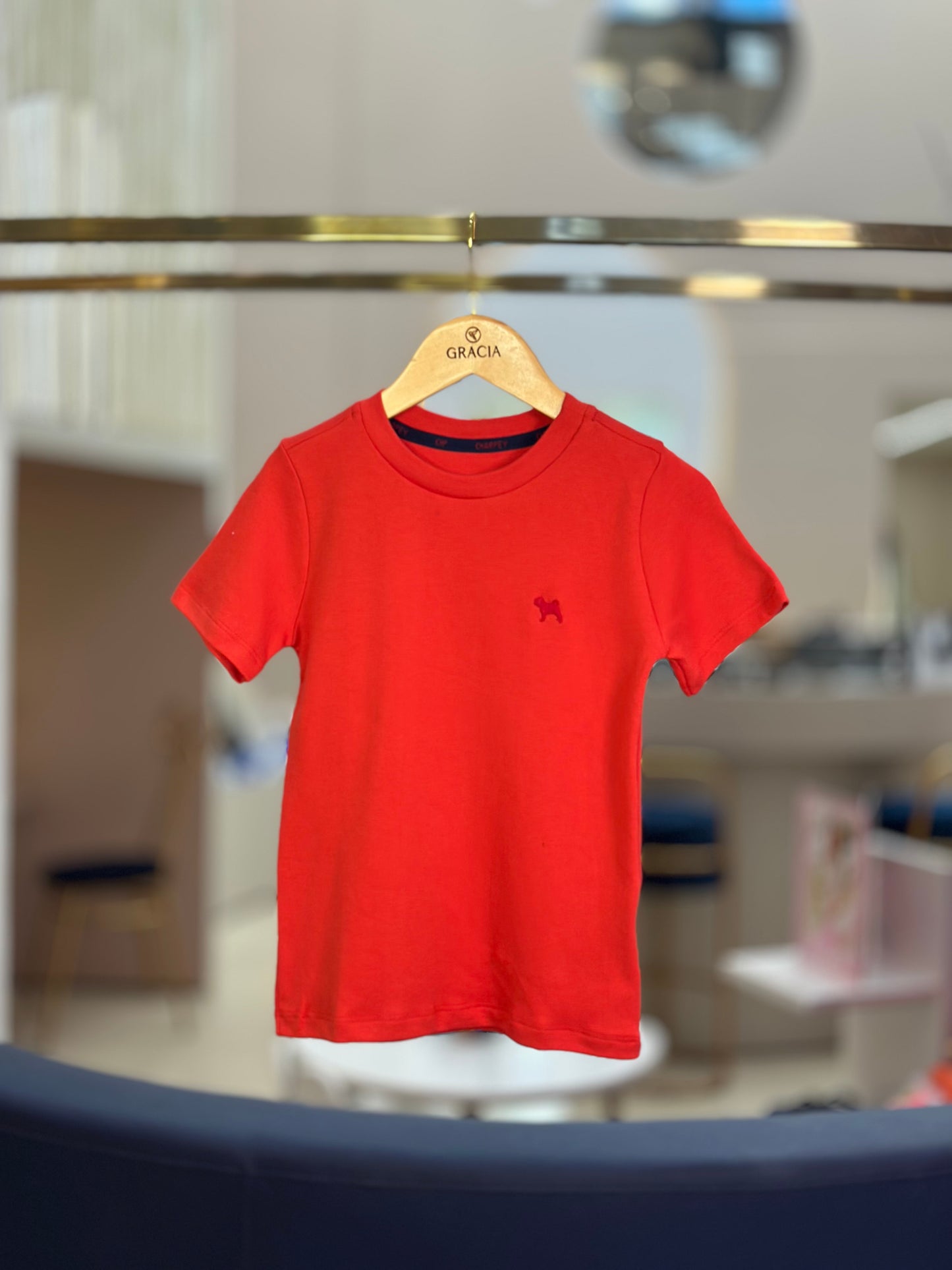 Camiseta Infantil Suedine Vermelha - Charpey