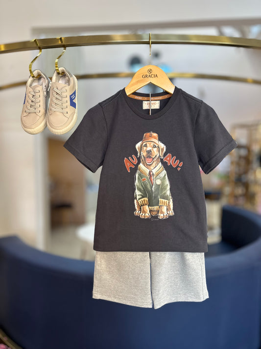 Conjunto Infantil Camiseta Cachorro Golden Grafite e Bermuda Moletom Básica Cinza - Dame