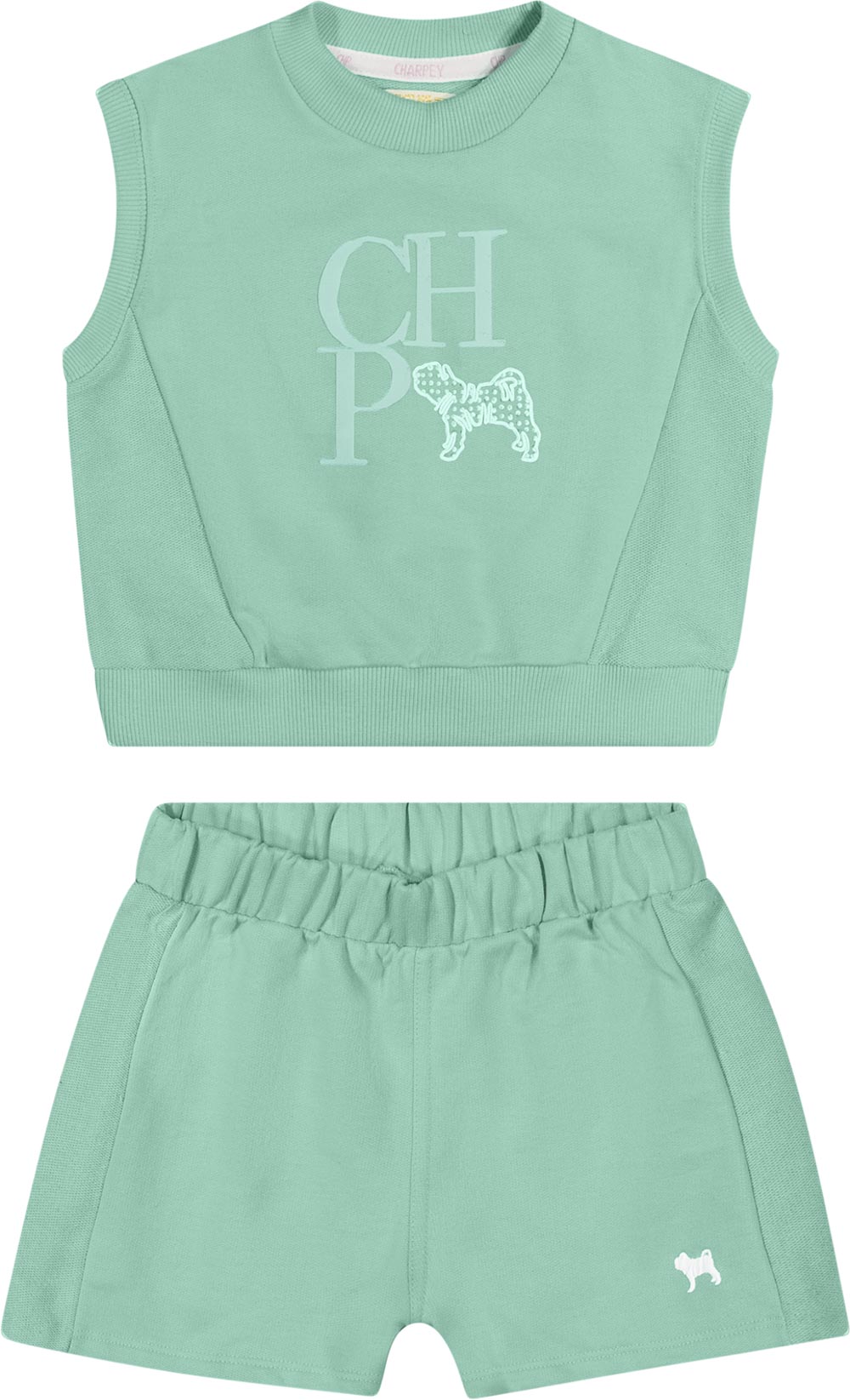 Conjunto Moletom Verde Charpey