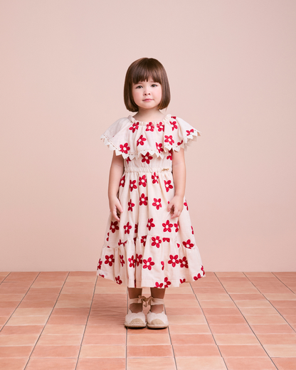 Vestido Infantil Flores Vermelhas Bordadas - Animê