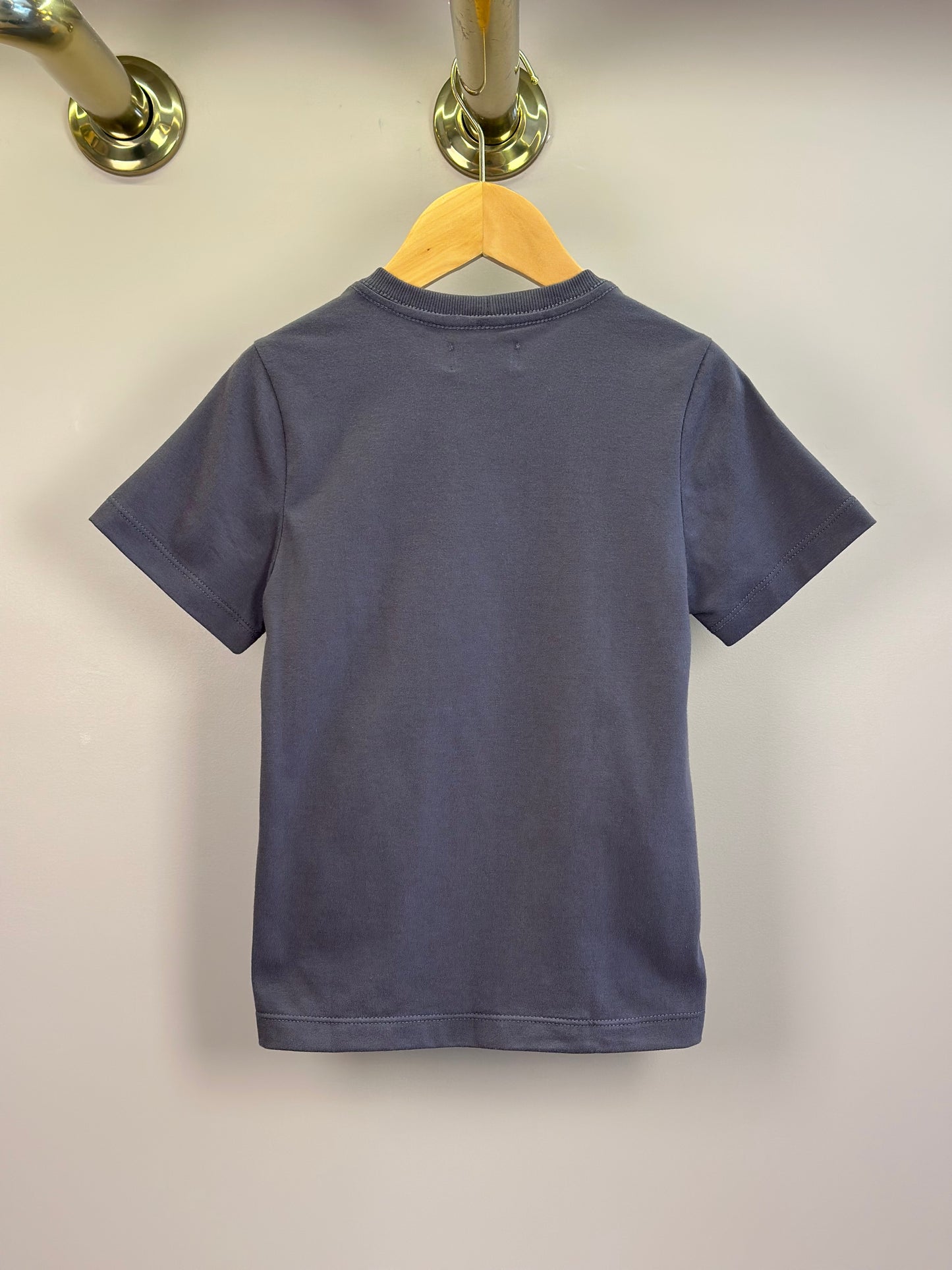 Camiseta  Infantil Algodão Teddy  Faria Grafite - Dame