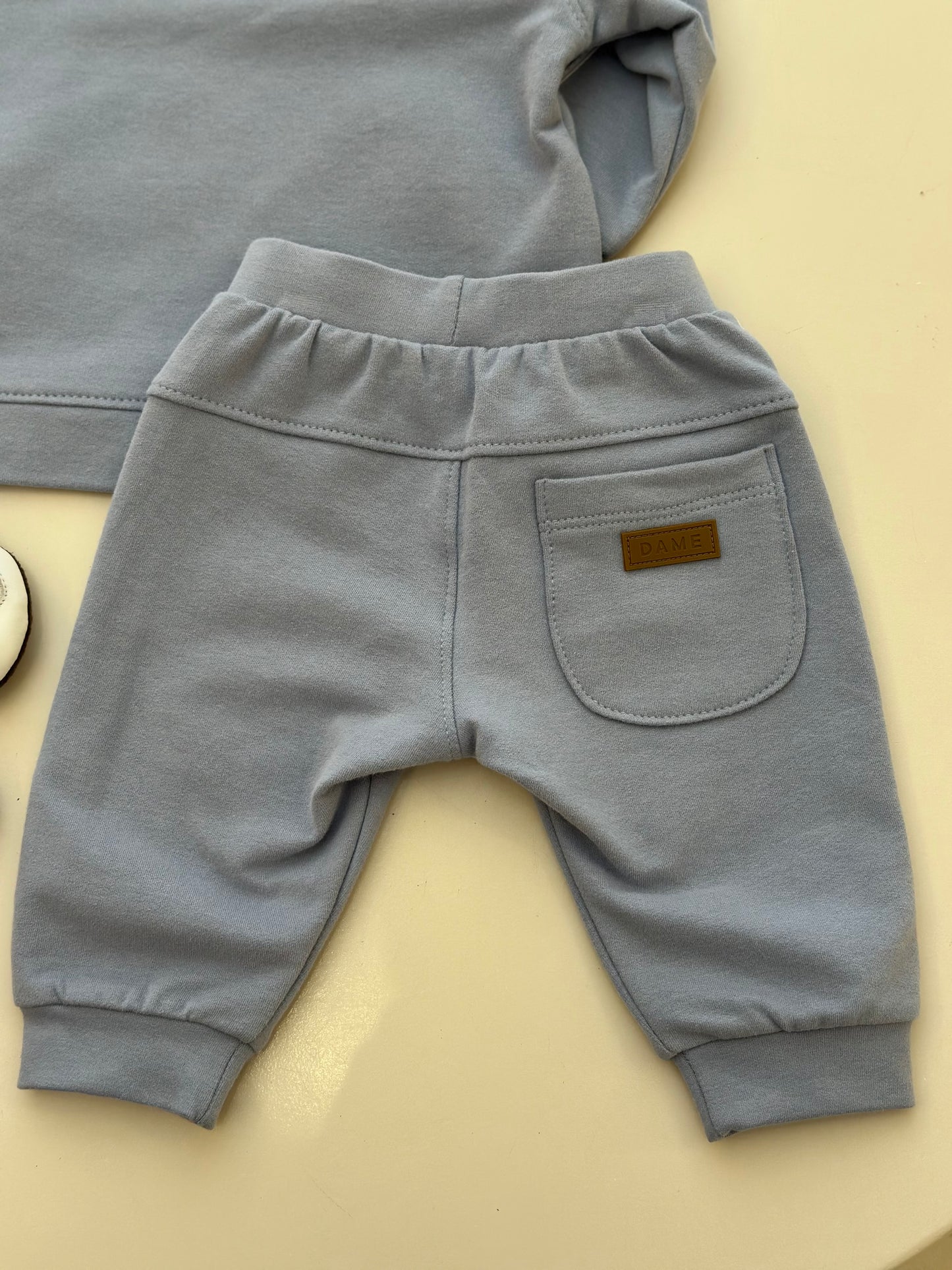 Conjunto Bebê Moletom Agasalho e Calça Teddy Bethoven Delavê - Dame