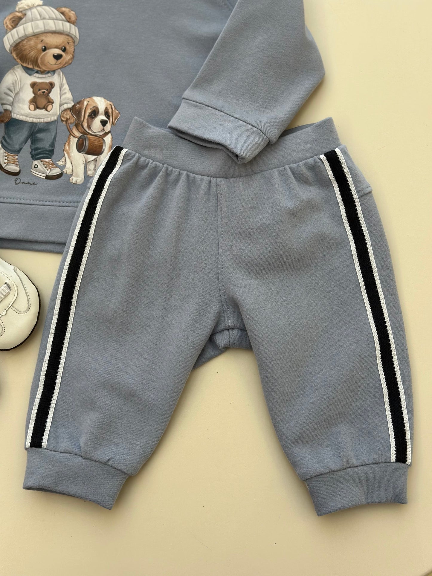 Conjunto Bebê Moletom Agasalho e Calça Teddy Bethoven Delavê - Dame