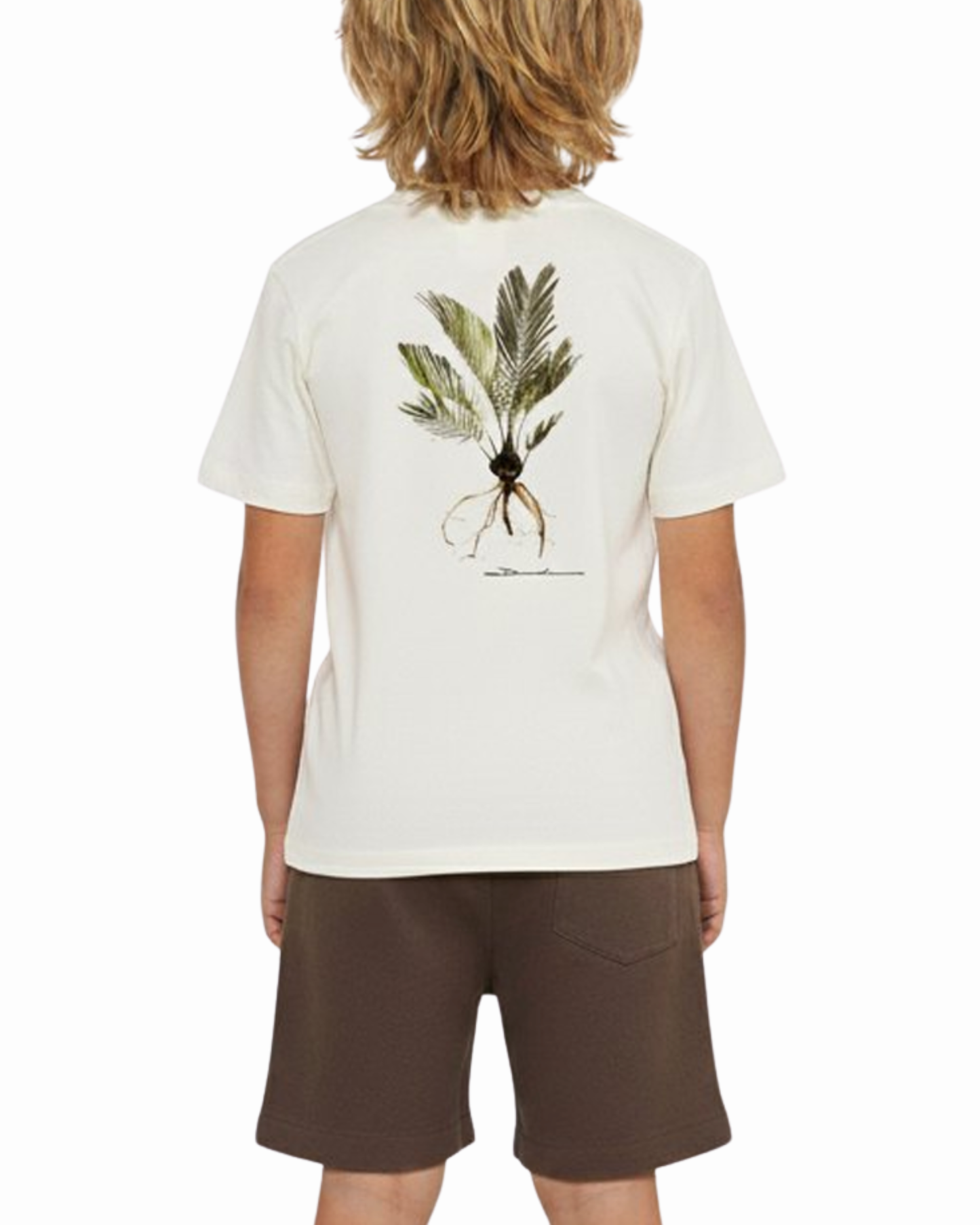 Camiseta Infantil Algodão Palmeira  - Dudes