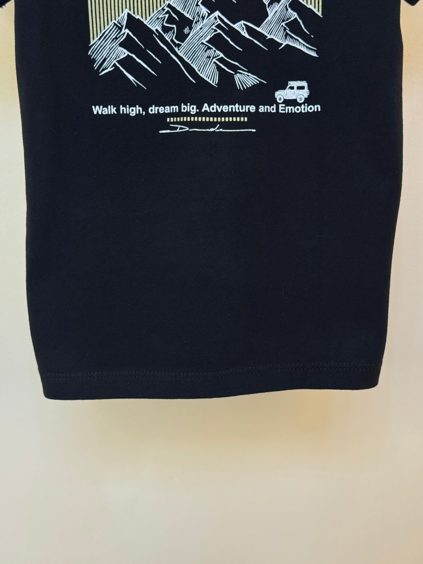 Camiseta Infantil Algodão Walk High - Dudes