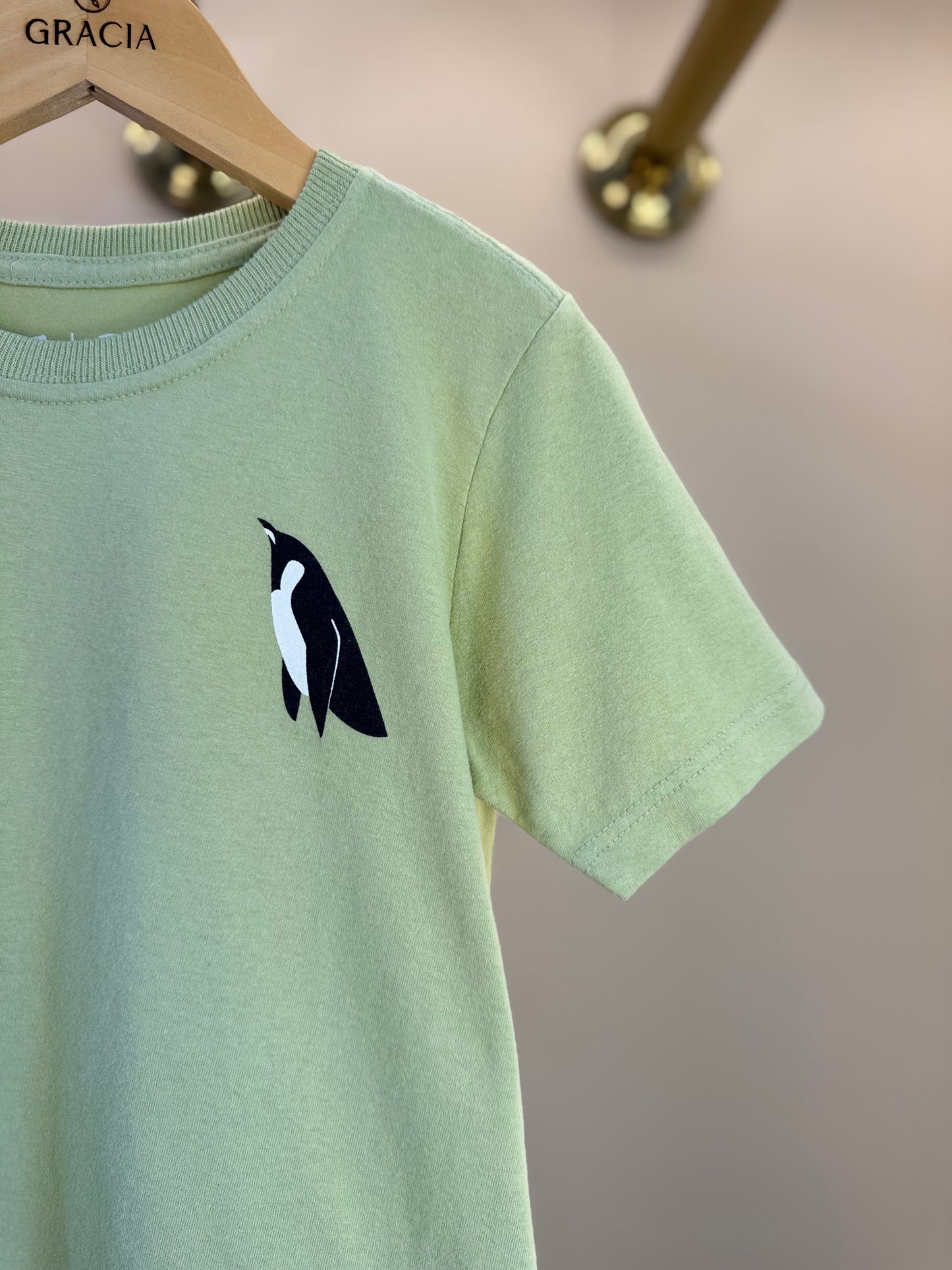 Camiseta Infantil Algodão Pinguim Verde - Dudes