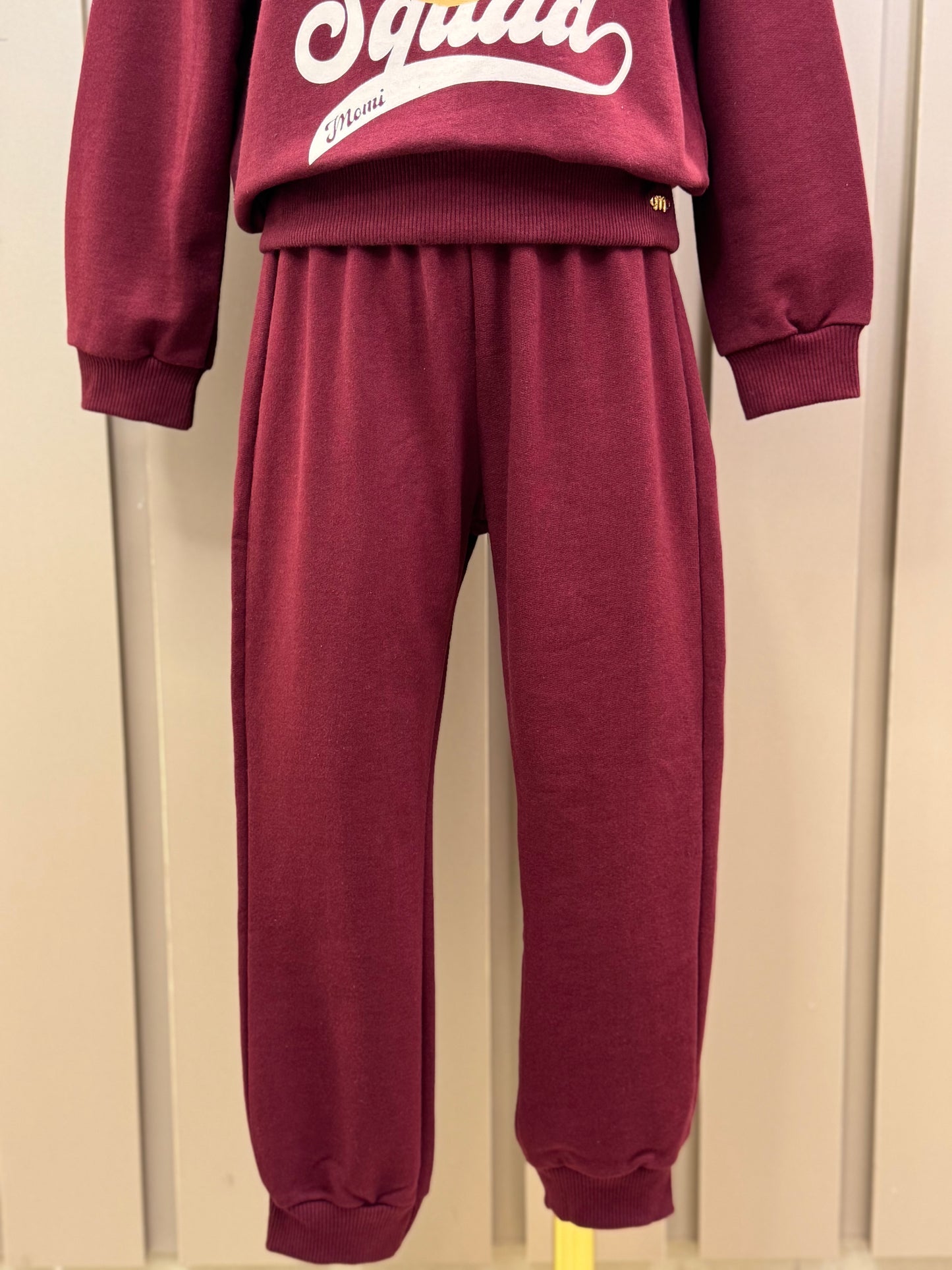 Conjunto Infantil Moletom Casaco Urso e Calça Cramberry - Momi