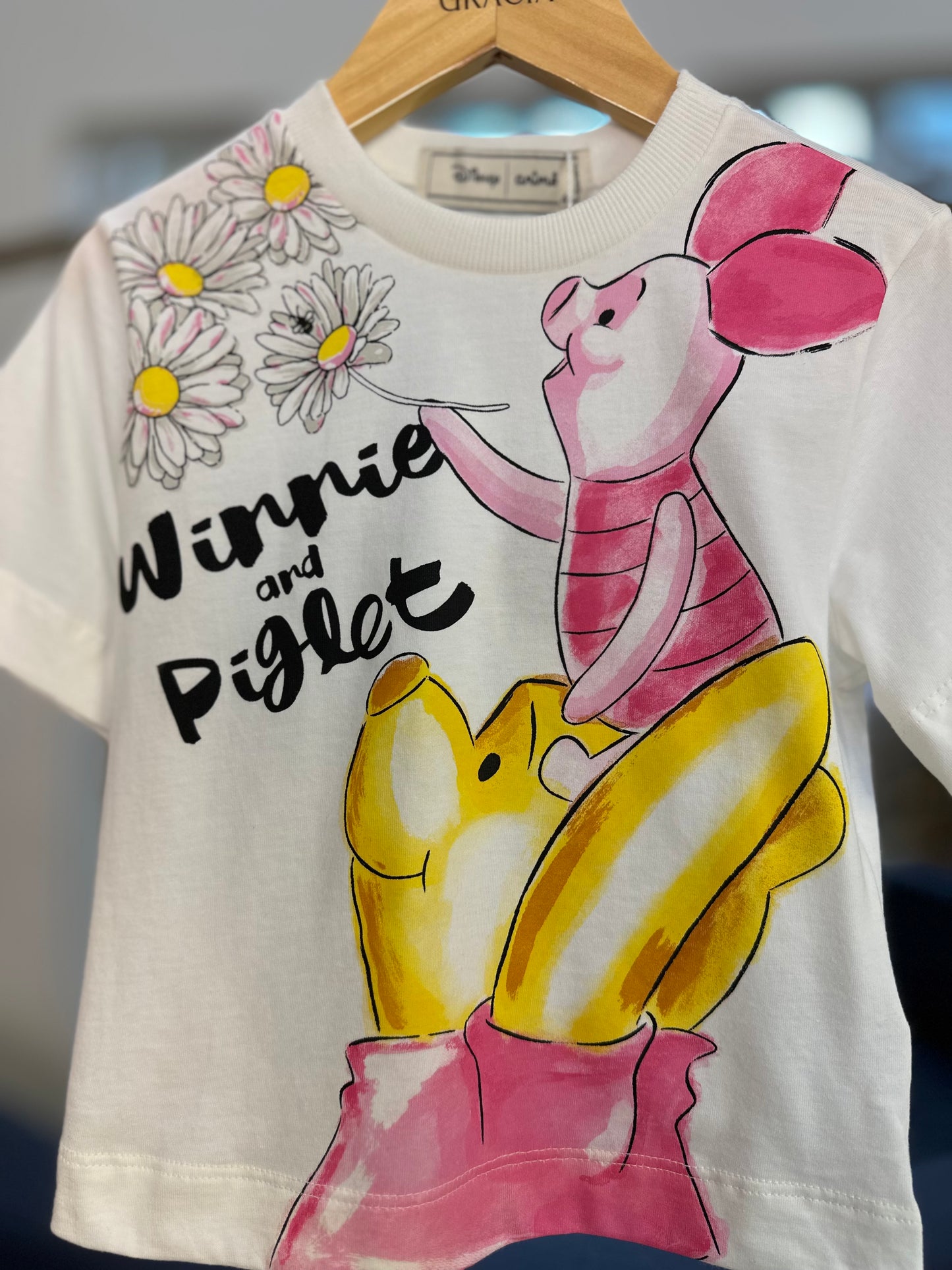 Conjunto Infantil T-Shirt Pooh e Balonê Rosa - Animê