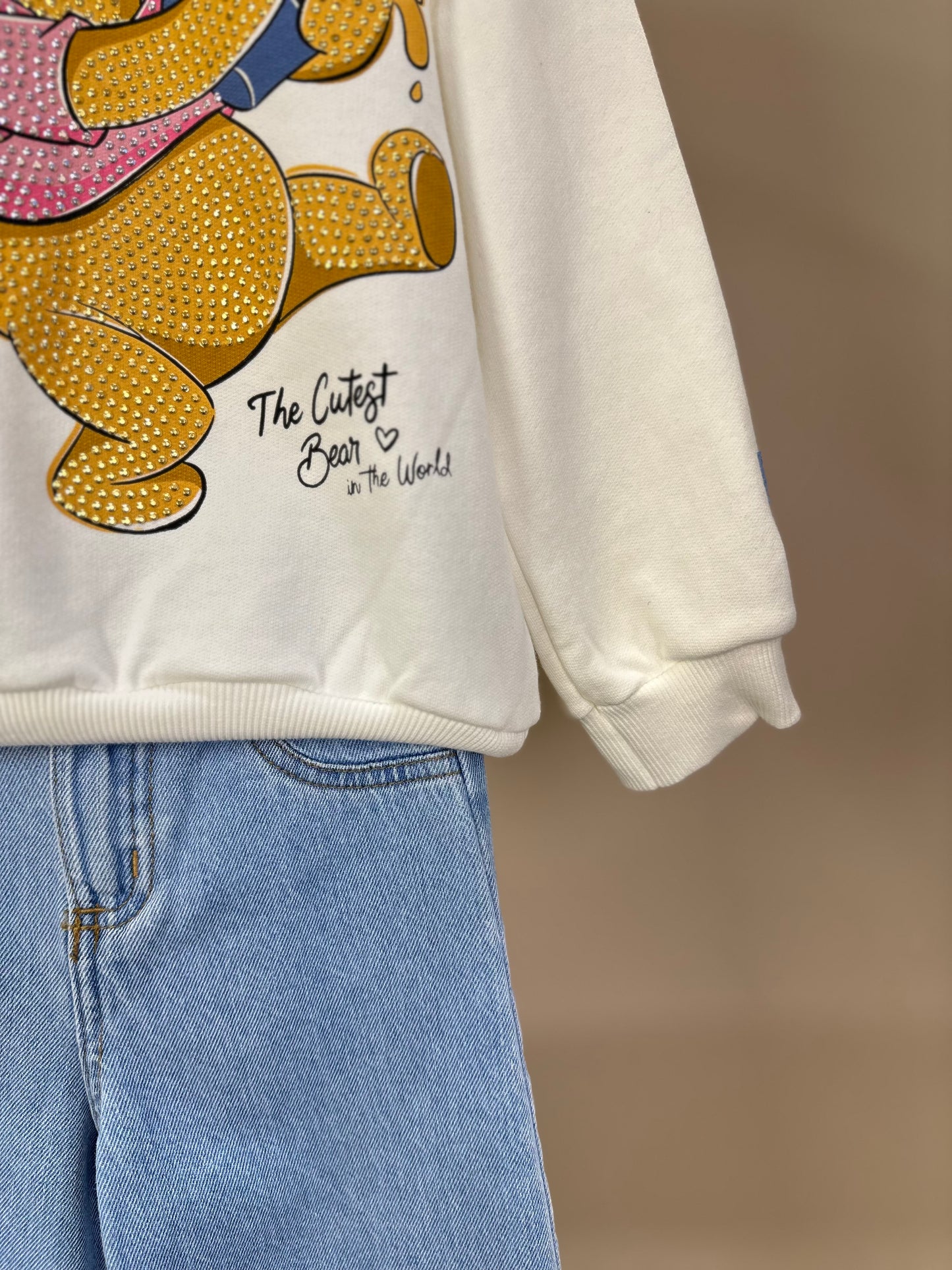Conjunto Infantil Feminino Casaco Moletom Ursinho Pooh Pérola com Calça Jeans Bordada Flores - Momi