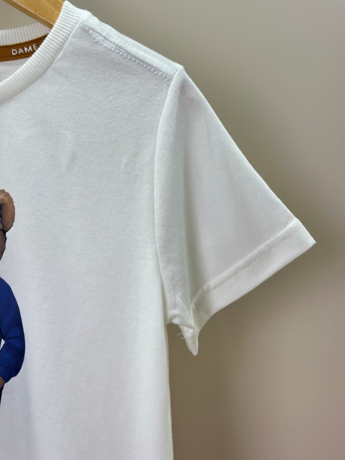 Camiseta Infantil Algodão Teddy University - Dame