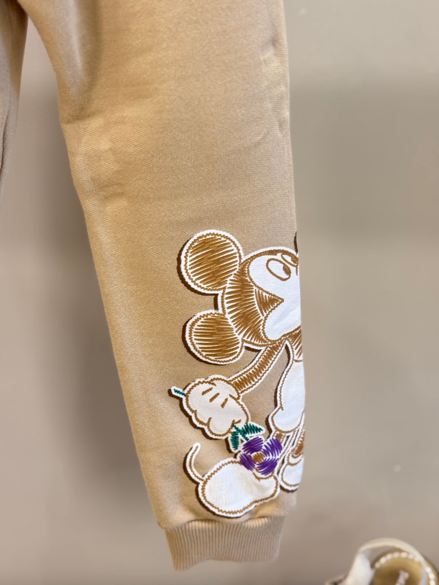 Conjunto Infantil Casaco e Calça de Moletom Minnie Flores - Animê