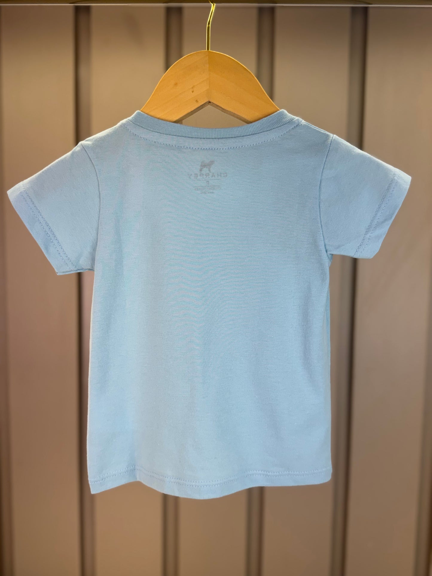 Camiseta Bebê Algodão CHP Azul - Charpey