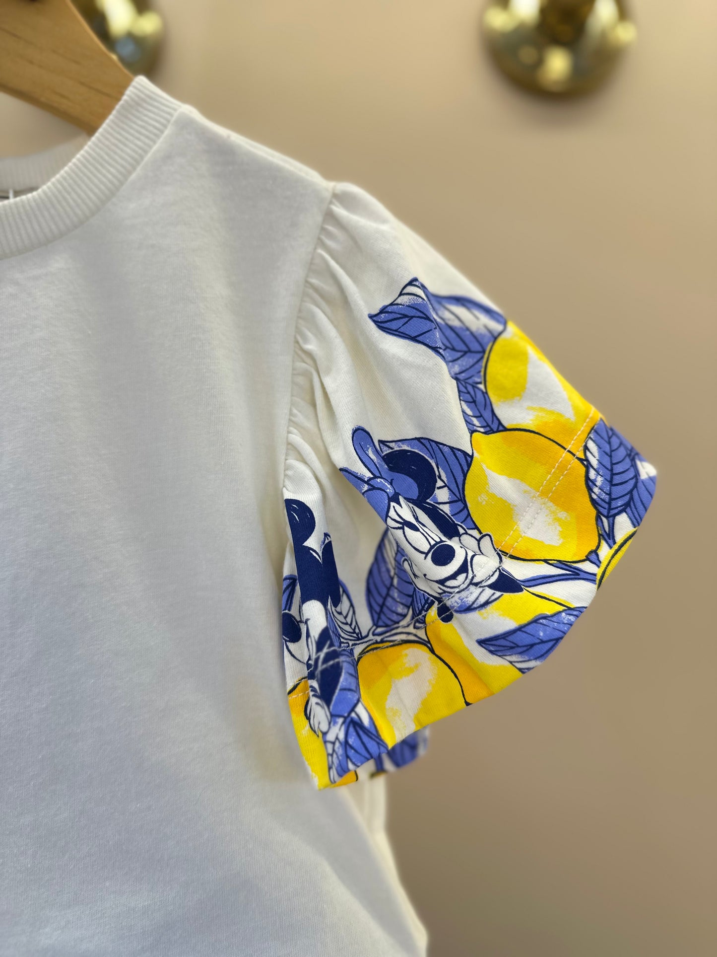 Conjunto Infantil Blusa Mangas Limões e Shorts Azul - Animê