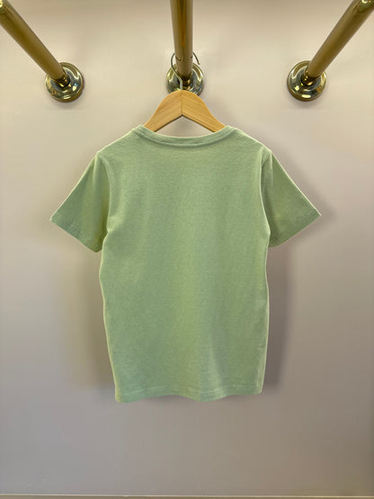 Camiseta Infantil Básica Algodão MC Verde - Dudes