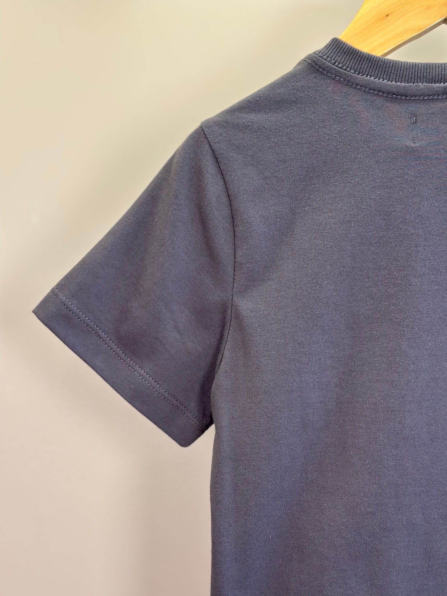 Camiseta  Infantil Algodão Teddy  Faria Grafite - Dame