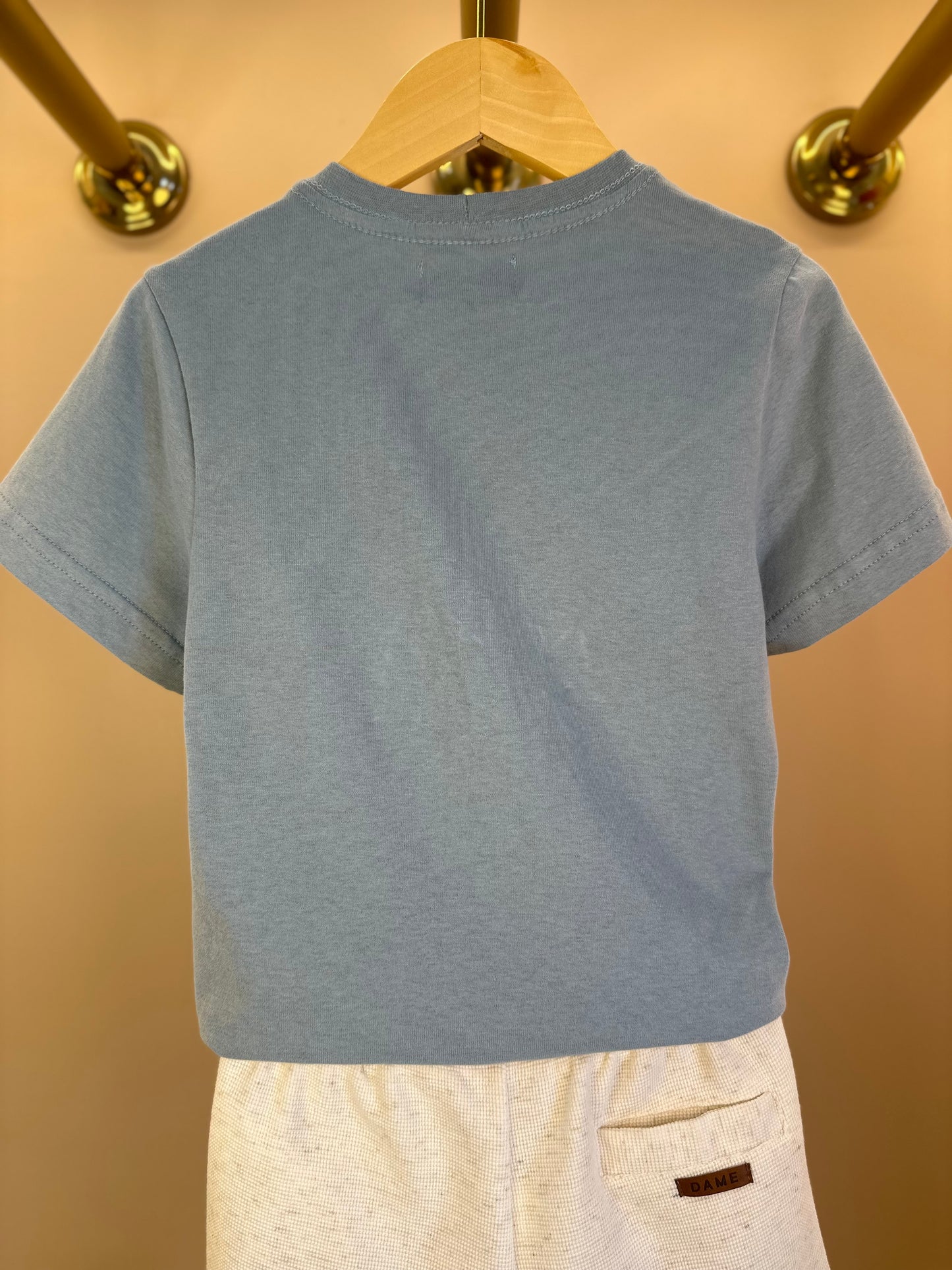 Conjunto Infantil Camiseta Algodão Teddy Conversível Malibu e Bermuda Moletom Algodão Linho - Dame