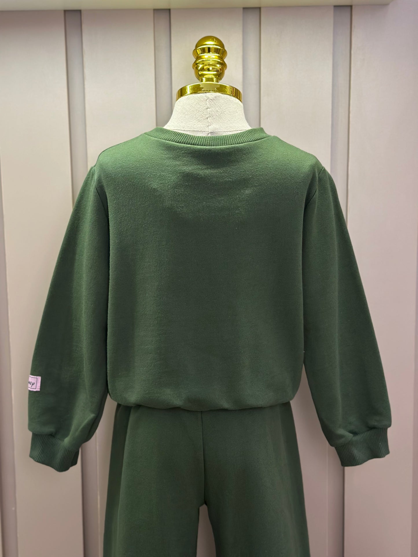 Conjunto Infantil Moletom Casaco Tico e Teco e Calça Verde Musgo - Momi