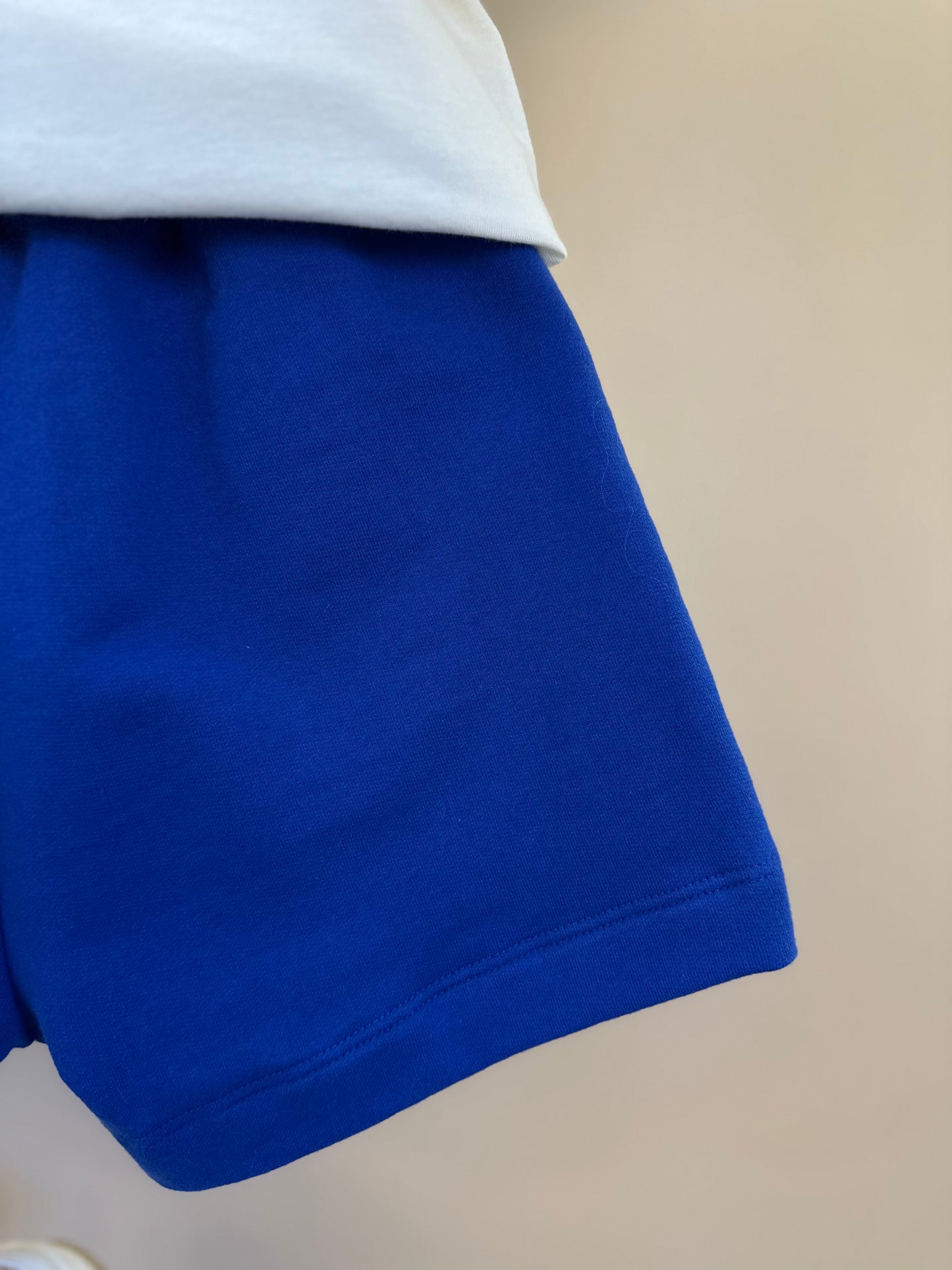 Conjunto Infantil Blusa Mangas Limões e Shorts Azul - Animê