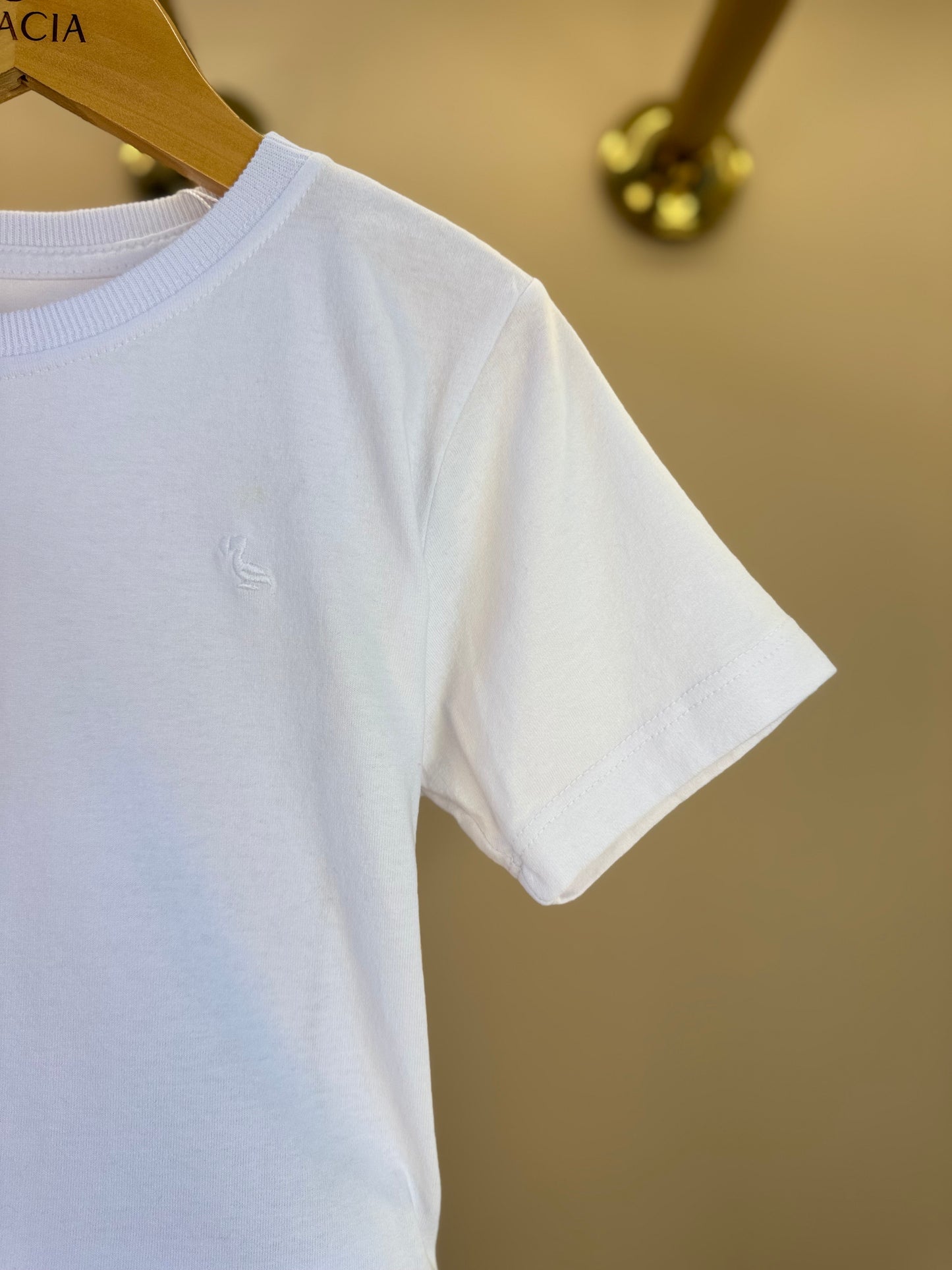 Conjunto Infantil Camiseta Branca e Shorts Bege - Dudes