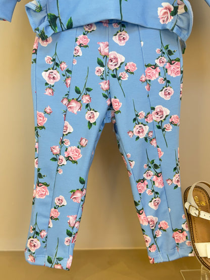 Conjunto Infantil Moletinho Blusa Abertura Lateral e Strass e Calça Montaria Floral - Luluzinha