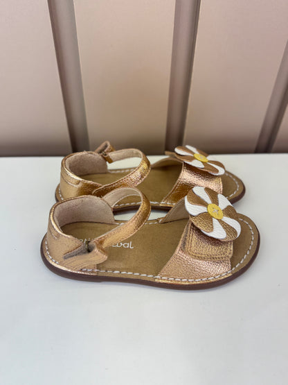 Sandália Infantil Rolimã Cobre/Flor Catavento - Petit Cheval