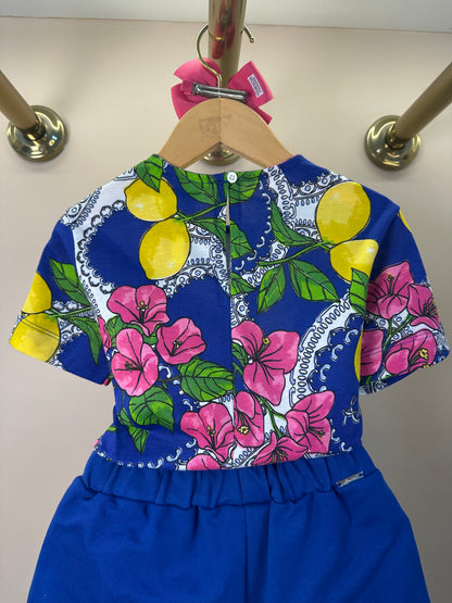Conjunto Infantil Blusa Estampa Primavera Floral e Limões e Shorts Laço - Animê