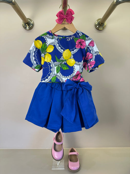Conjunto Infantil Blusa Estampa Primavera Floral e Limões e Shorts Laço - Animê