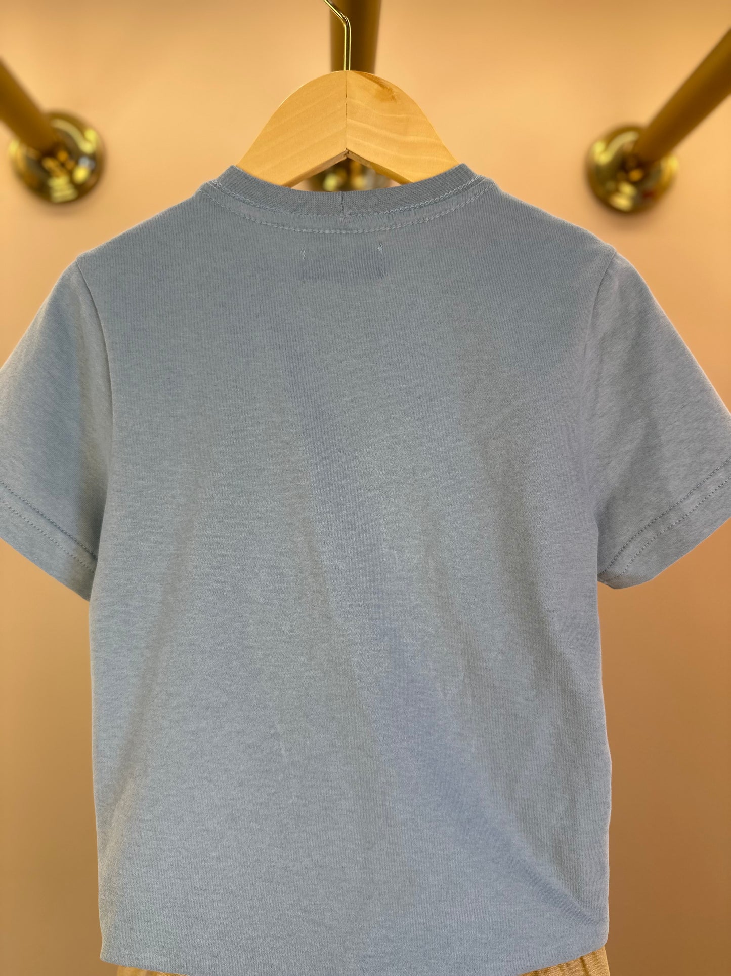 Conjunto Infantil Camiseta Algodão Teddy Conversível Malibu e Bermuda Ponto Roma Bolsos Cargo Bege - Dame