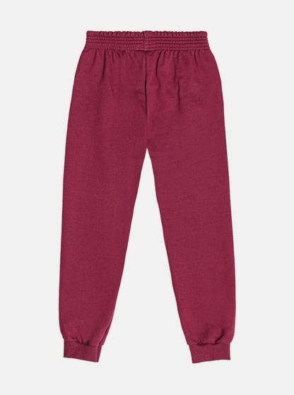 Conjunto Infantil Moletom Casaco Urso e Calça Cramberry - Momi
