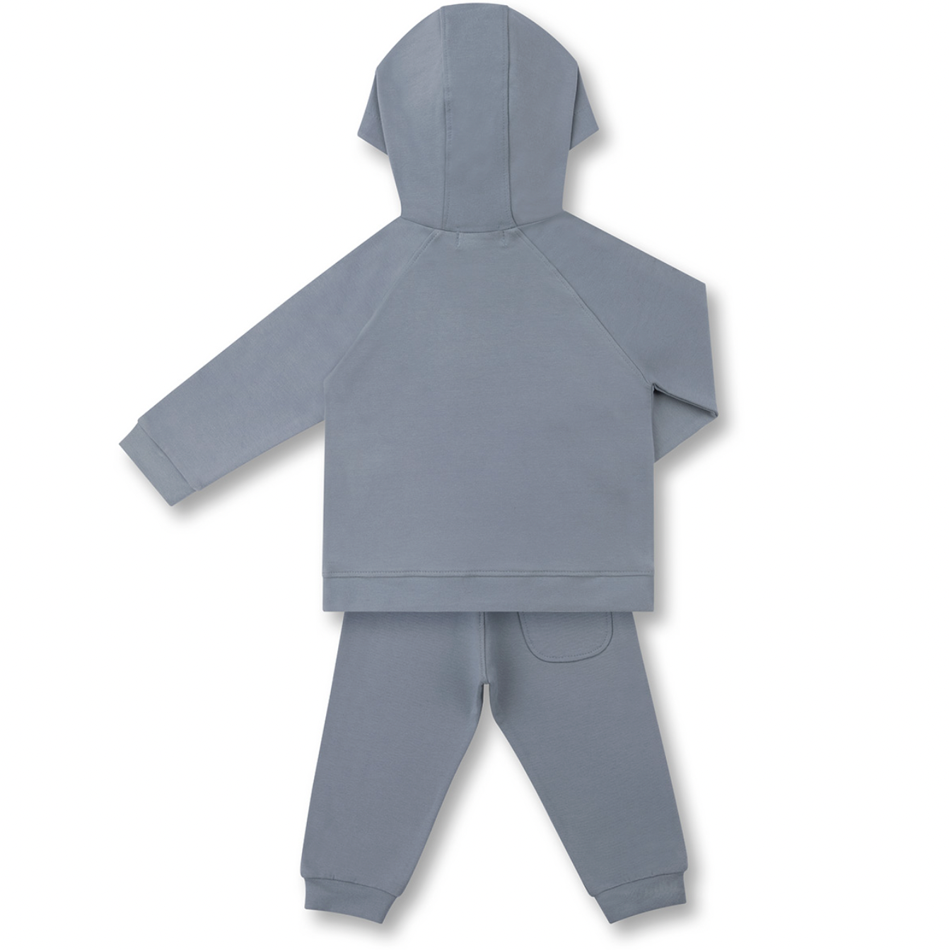 Conjunto Bebê Moletom Agasalho e Calça Teddy Bethoven Delavê - Dame