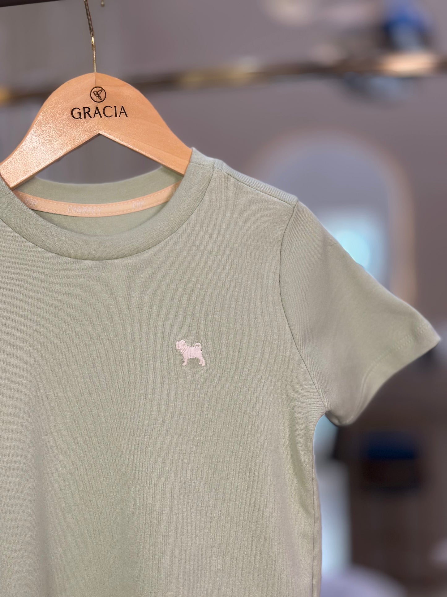 Camiseta Infantil Suedine Verde - Charpey
