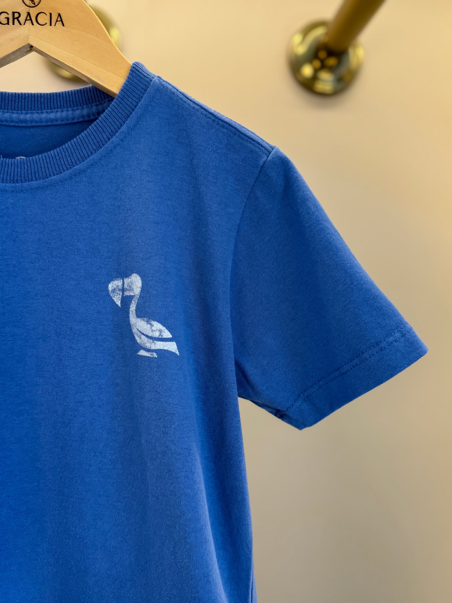 Camiseta Infantil Algodão Skate Azul - Dudes