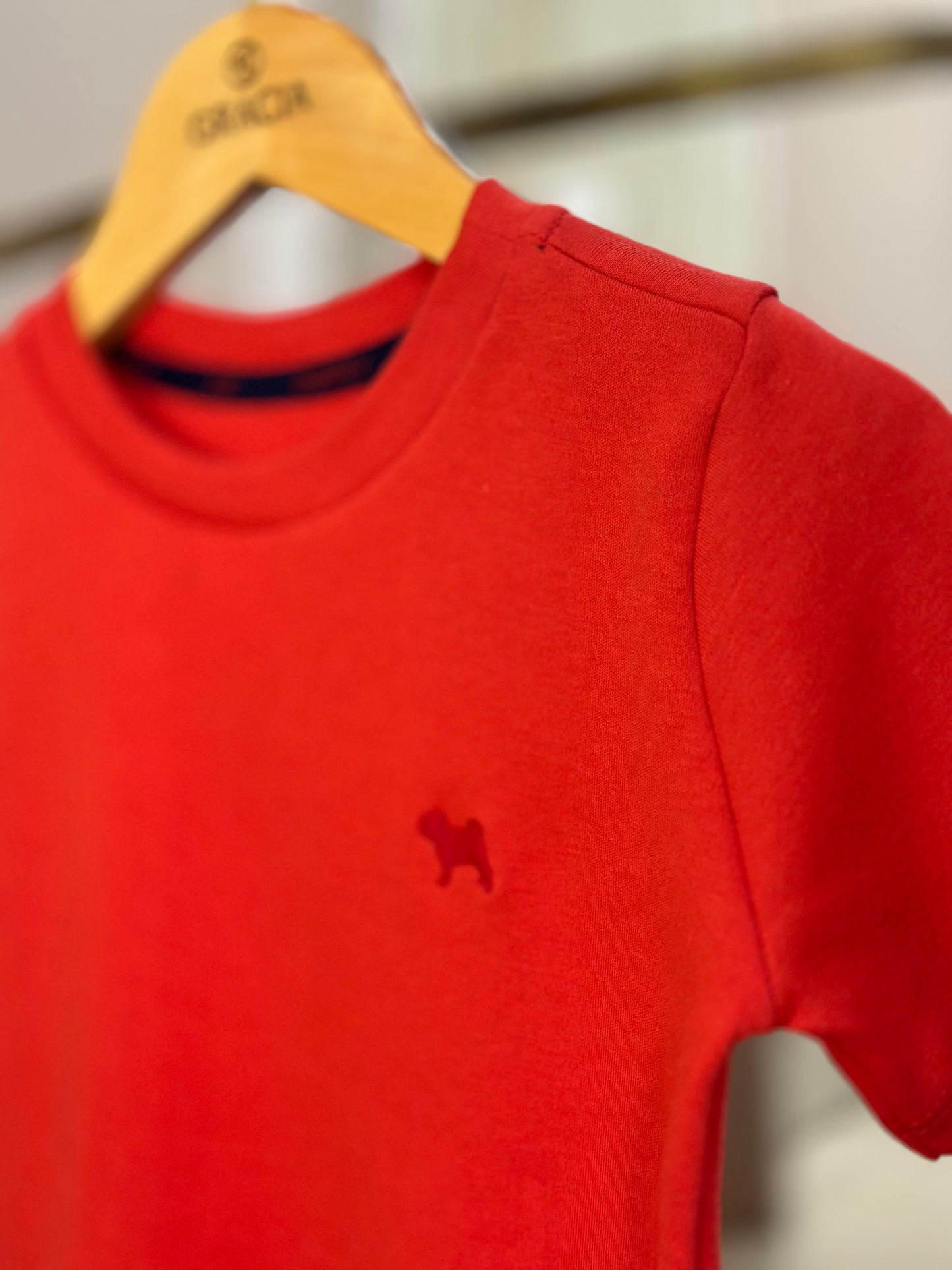 Camiseta Infantil Suedine Vermelha - Charpey