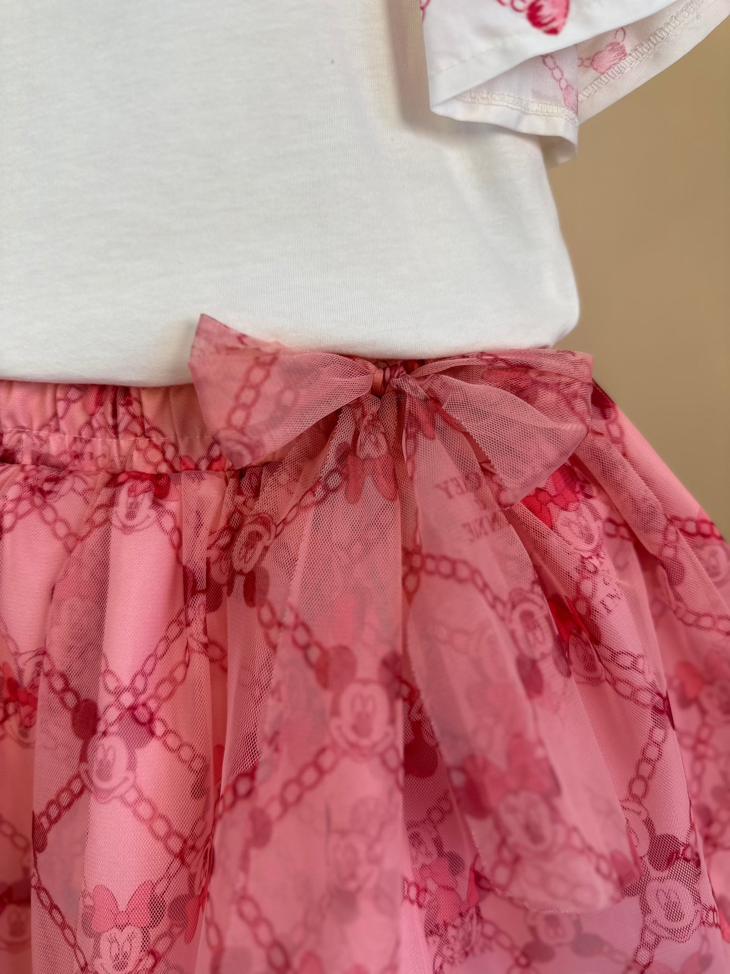 Conjunto Infantil Festinha Blusa Bordada e Saia Tule Minnie - Animê