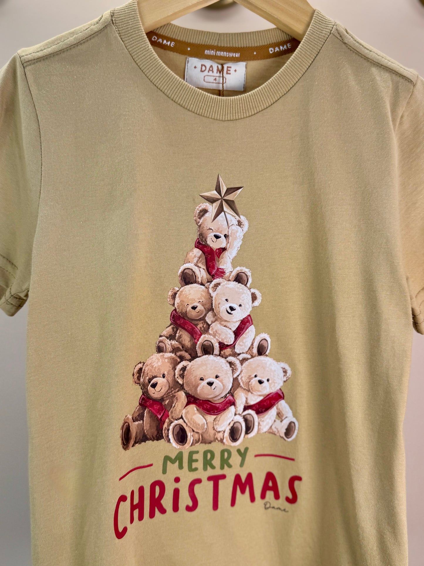Camiseta Infantil Algodão Teddy Natal - Dame